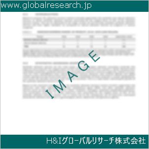 グローバルリサーチ調査資料のイメージ